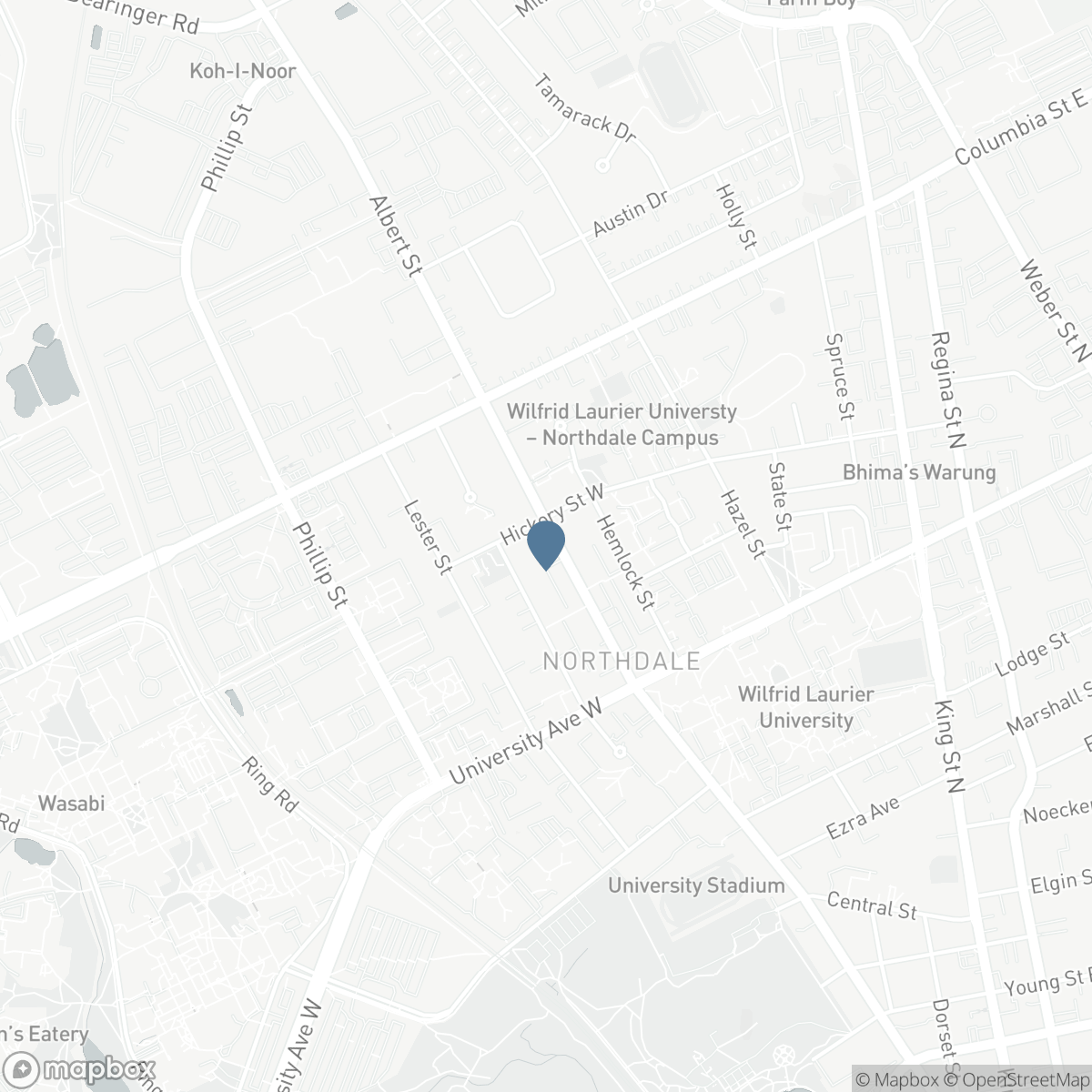 273 ALBERT STREET, Waterloo, Ontario N2L 3T7